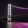 Bridge for ladies