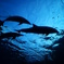 Into the blue