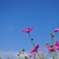 空に向かって