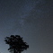 星降る夜