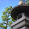 京都にて