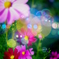 Fantastic Cosmos