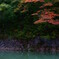 水辺の紅葉