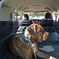 KOBI'S CAMP2012
