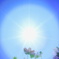 眩しい秋