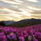 DSCN2572