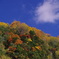 2012.10.20-002