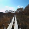 朝の散歩道