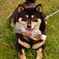 ペットボトルの好きなペット犬
