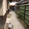 ねねの道