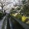 哲学の道