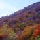 秋山