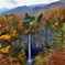 錦秋　大白川・白水の滝 