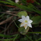 P7220302