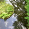 水に映る初夏の空