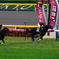 ダービー馬の意地