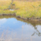 PA070209