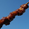食欲の秋の空