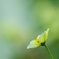 iso6400の世界