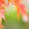 雫