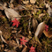 photo_2173371