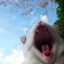 公園猫75