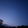 山紫