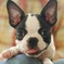 2009-07-26_17-27-58
