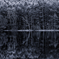 Silence