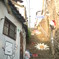 韓国
