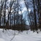 雪林