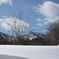 雪原