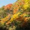 福島県　昭和村の秋景色