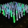 Forest of Lights