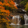 紅葉と滝