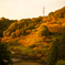 花フェスタ記念公園からの山景色