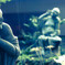 DSC03263-1