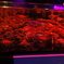 DSC04051