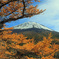 紅葉の富士