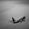 飛行機