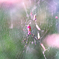 SDIM0504