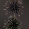野の花火