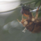 浮かぶ脈痕