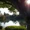霞ヶ池（兼六園）
