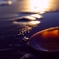 秋の海