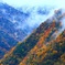 朝霧湧く彩谷