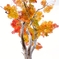 紅葉2012 -part2-