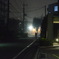 霧漂う夜道
