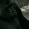 IMGP7296-8