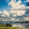 Someday sky